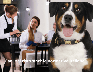 Cani nei ristoranti le normative italiane